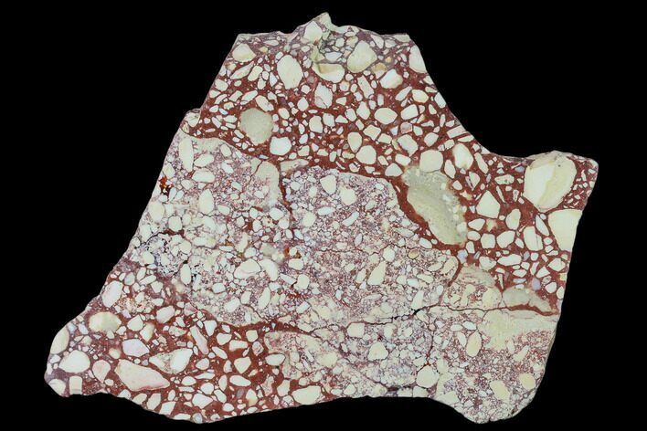Polished, Brecciated Mookaite Slab - Western Australia #136184
